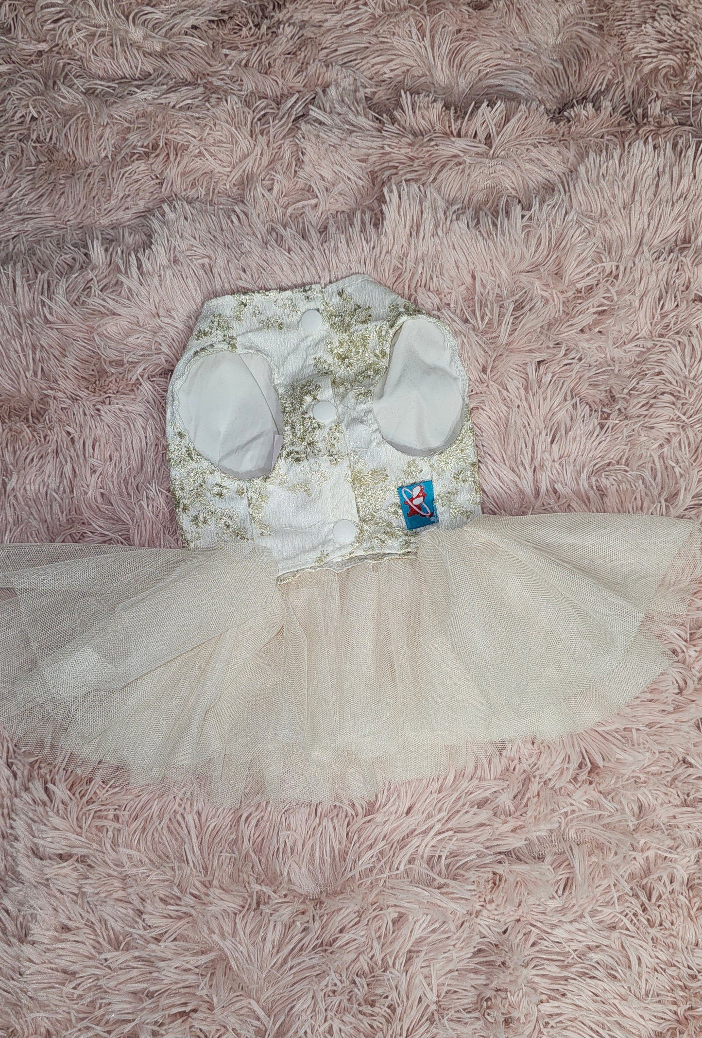 White and Gold Tull Dress