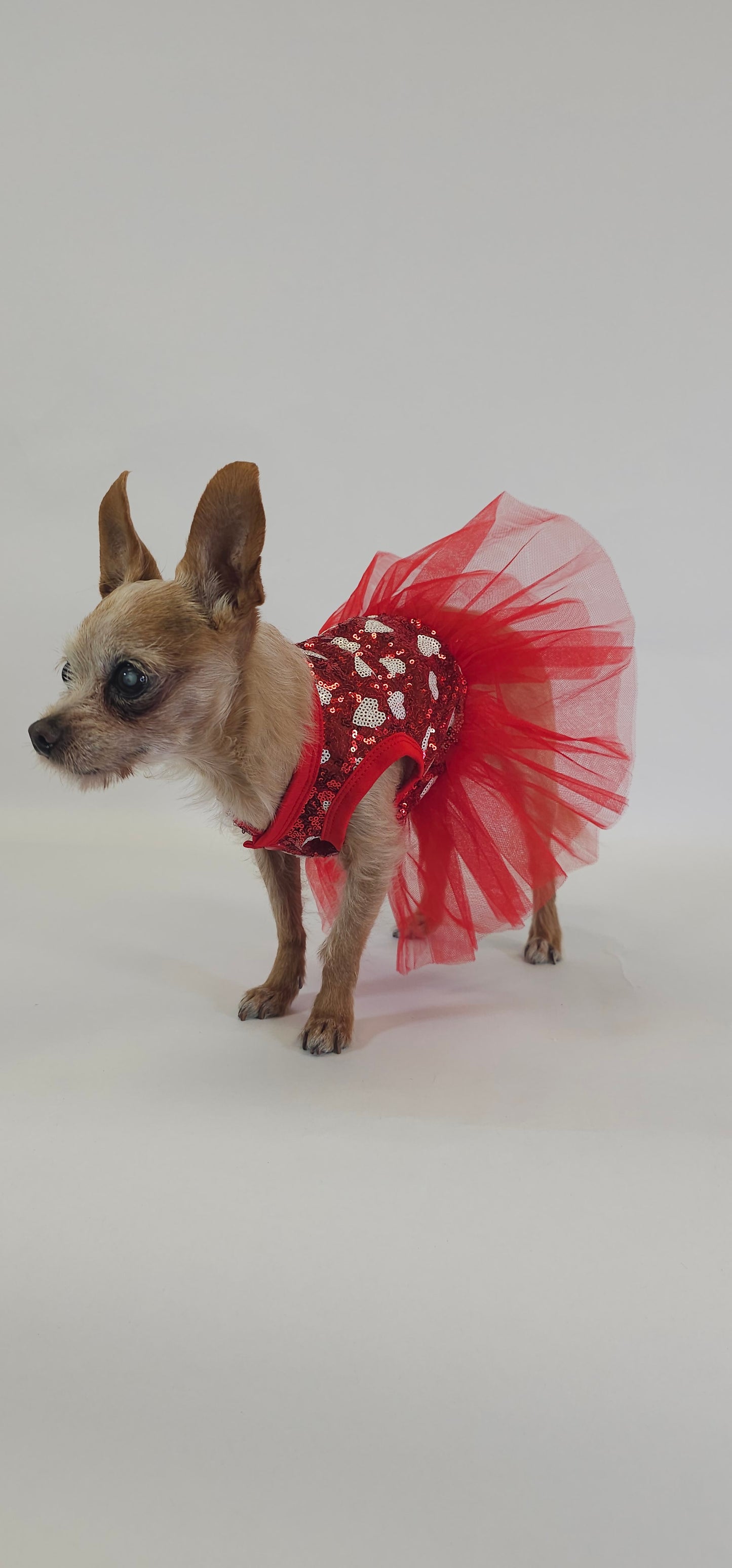Heart Sequin Dress