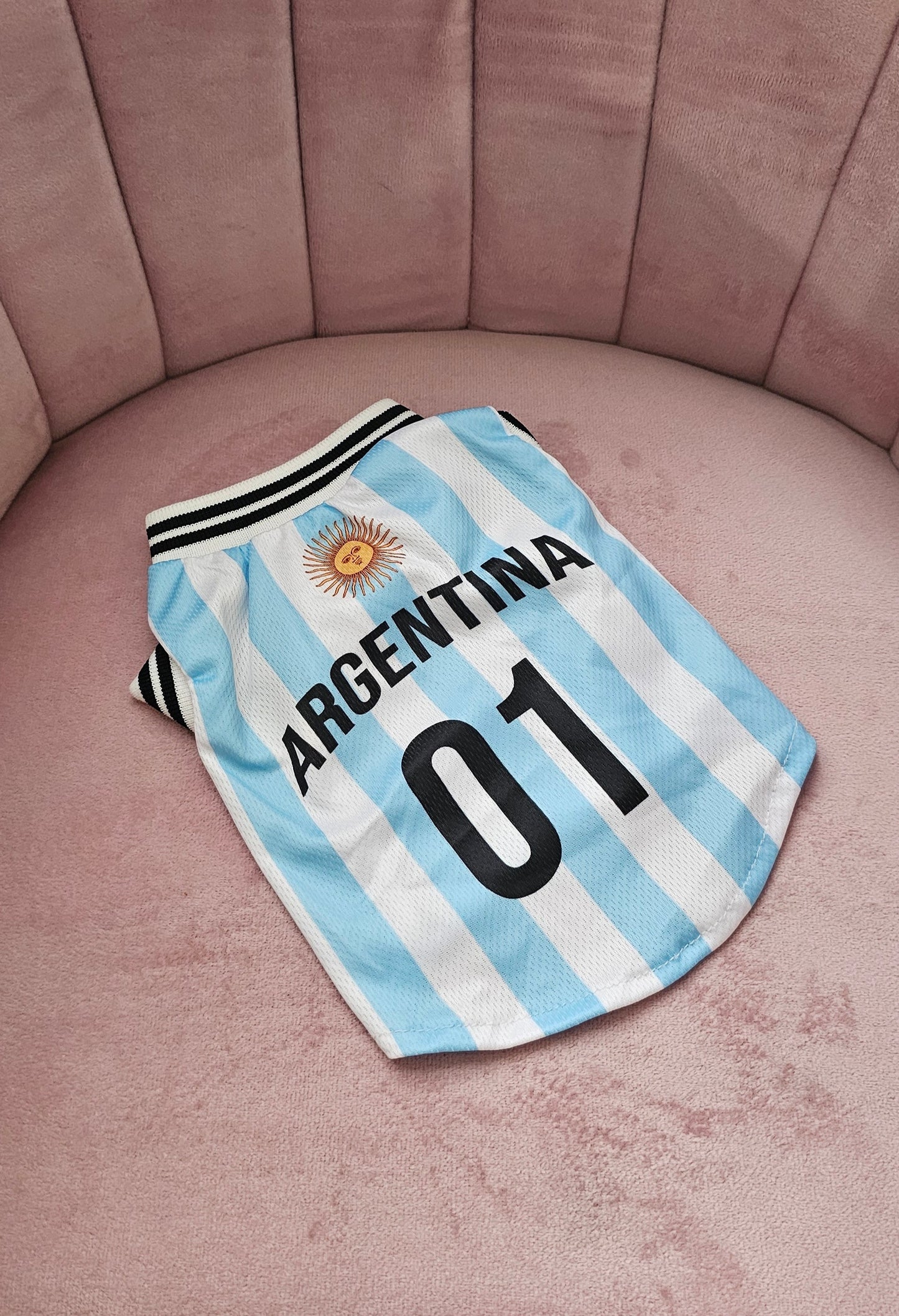 Argentina Jersey