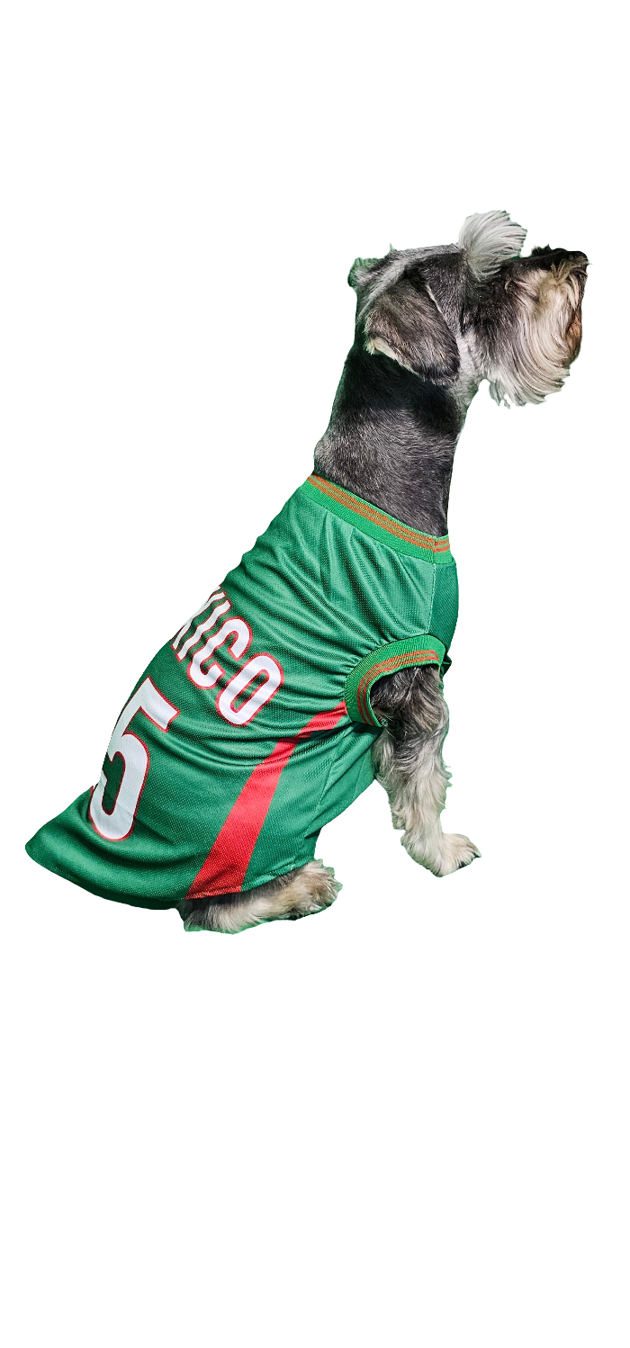Mexico Jersey