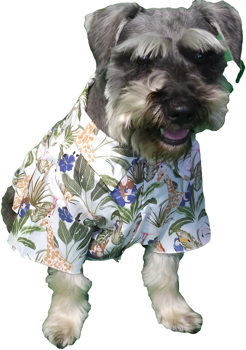 Hawaiian Shirt