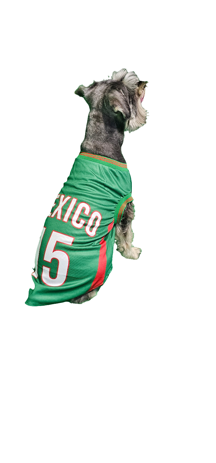 Mexico Jersey