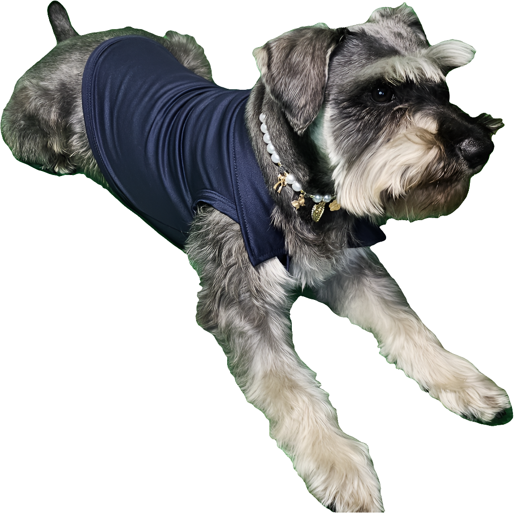 Dark Blue Polo