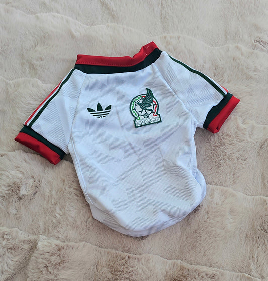 World Cup Jersey