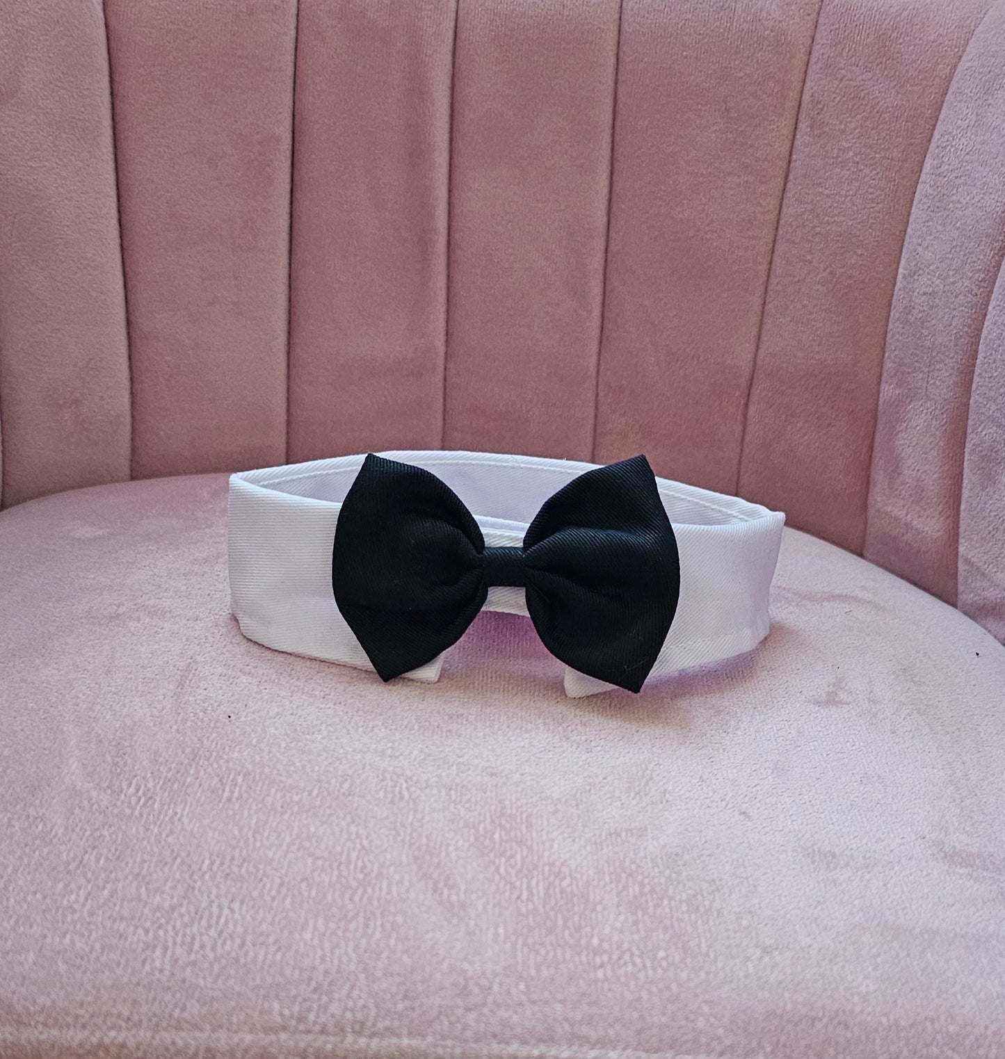 Bow and White Bow Tie