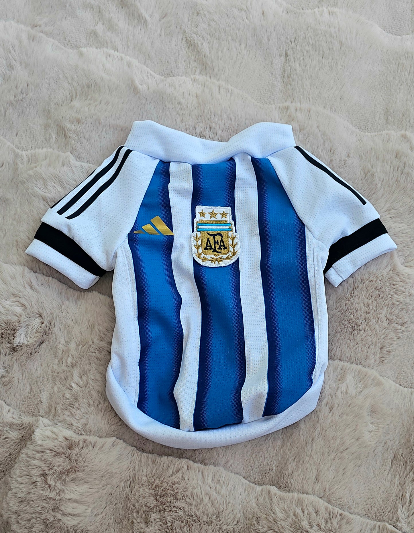 World Cup Jersey