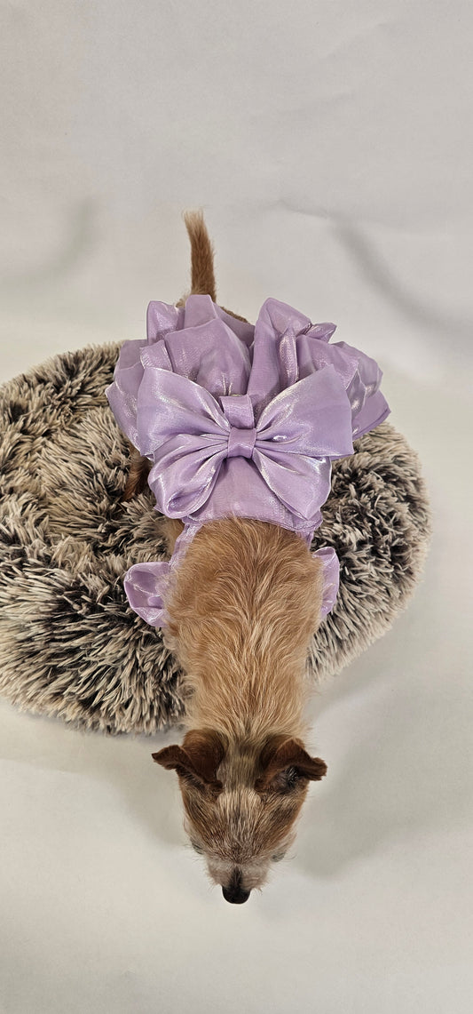 Lavender Bow Dress