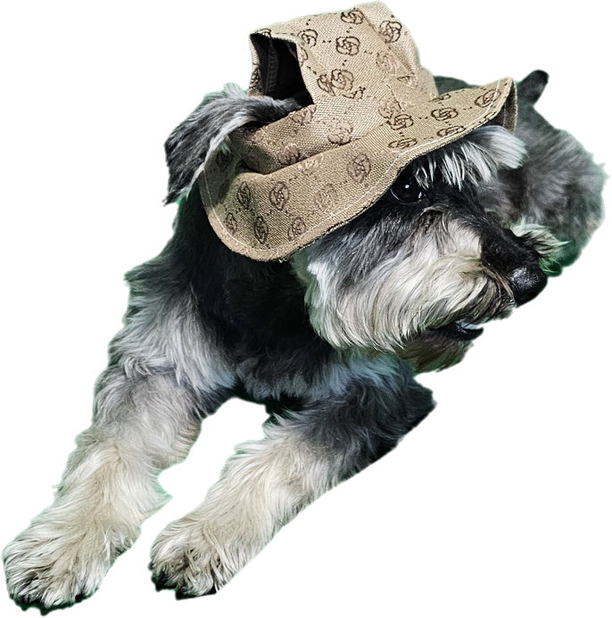 Brown Bucket Hat