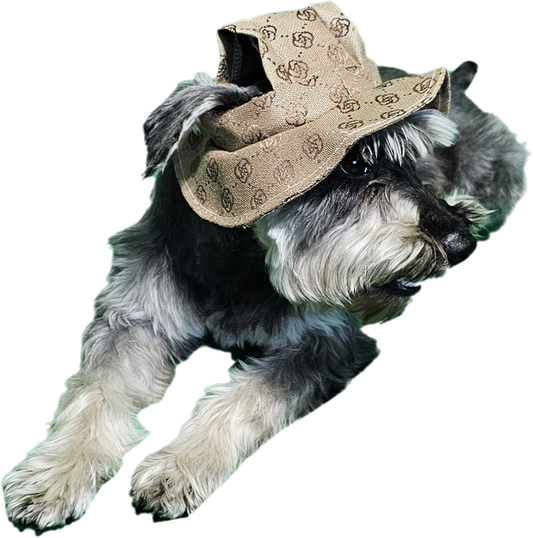 Brown Bucket Hat
