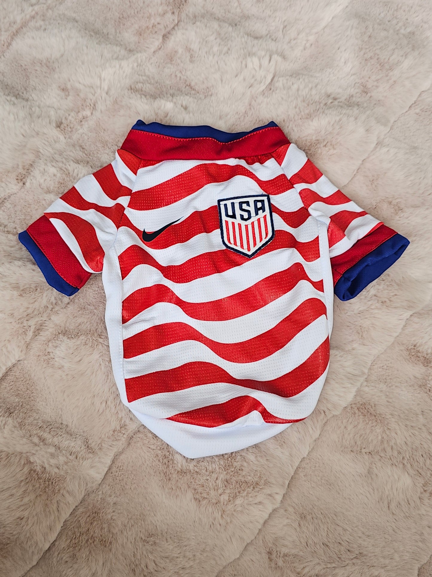 World Cup Jersey