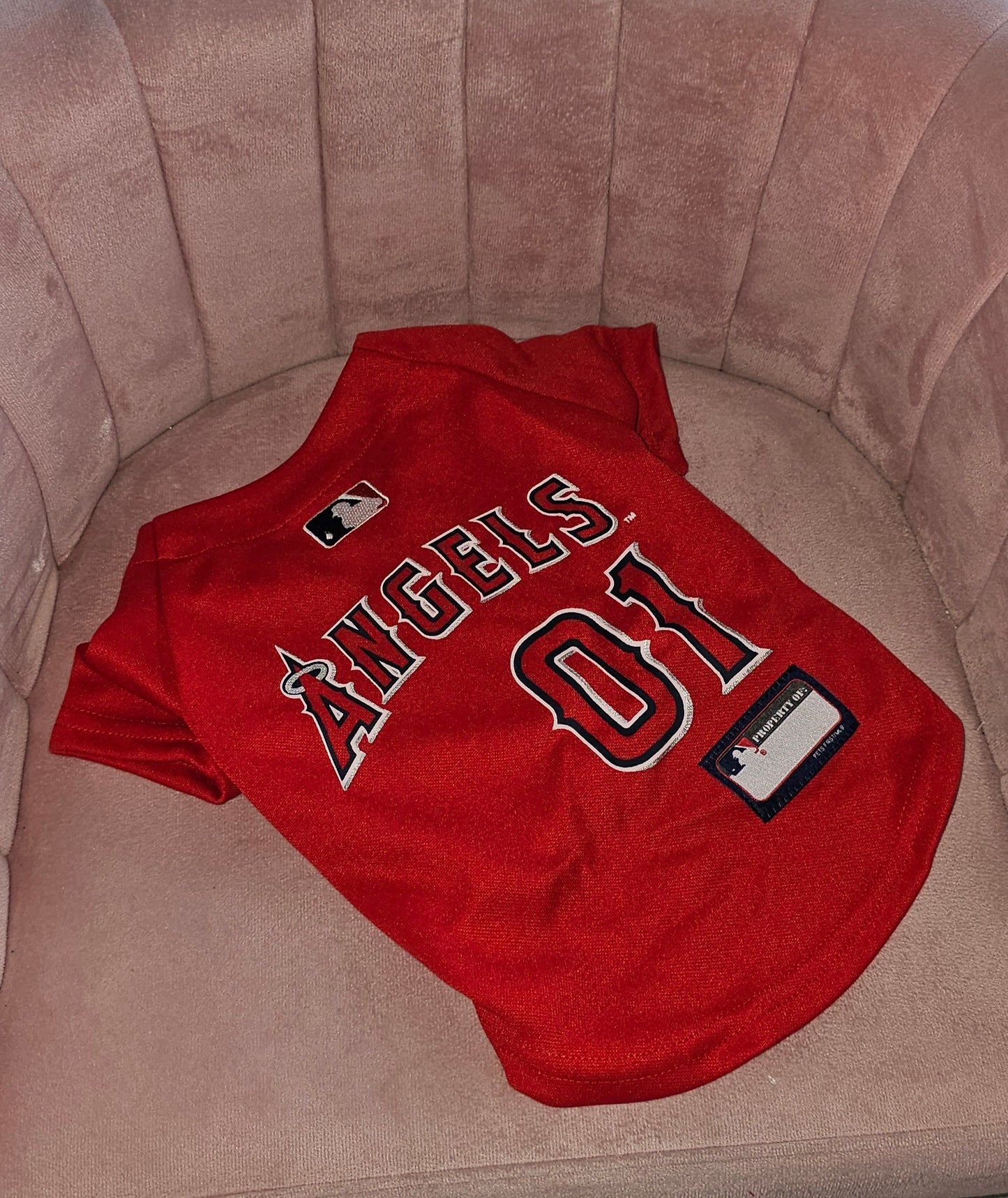 Angels Jersey