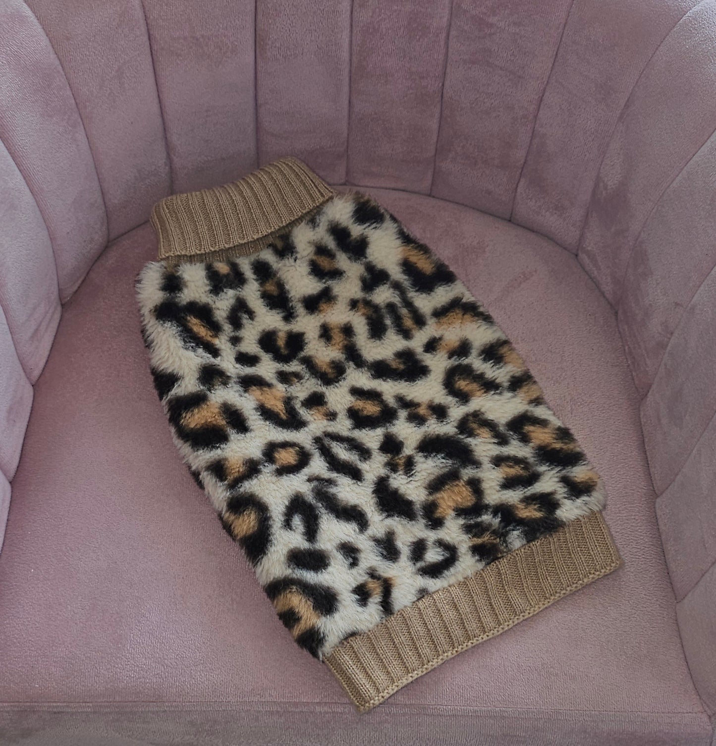 Cheetah Sweater