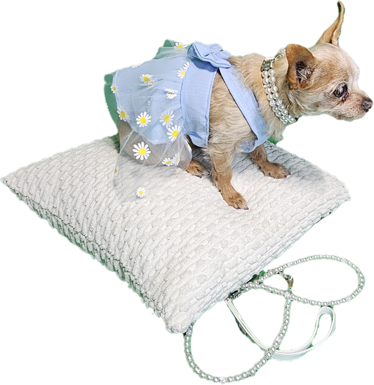Pearl Collar and Leash