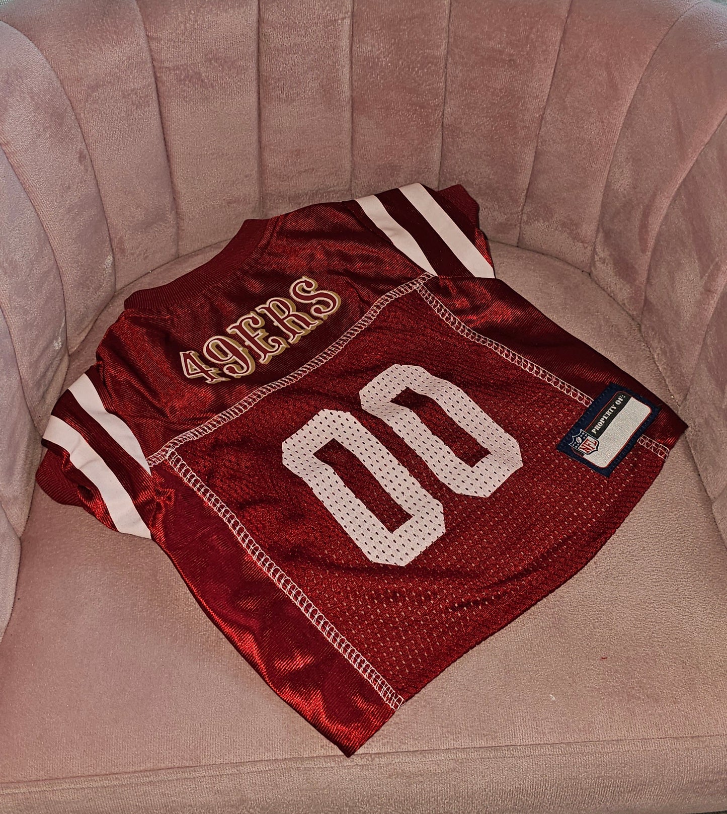 49ers Jersey