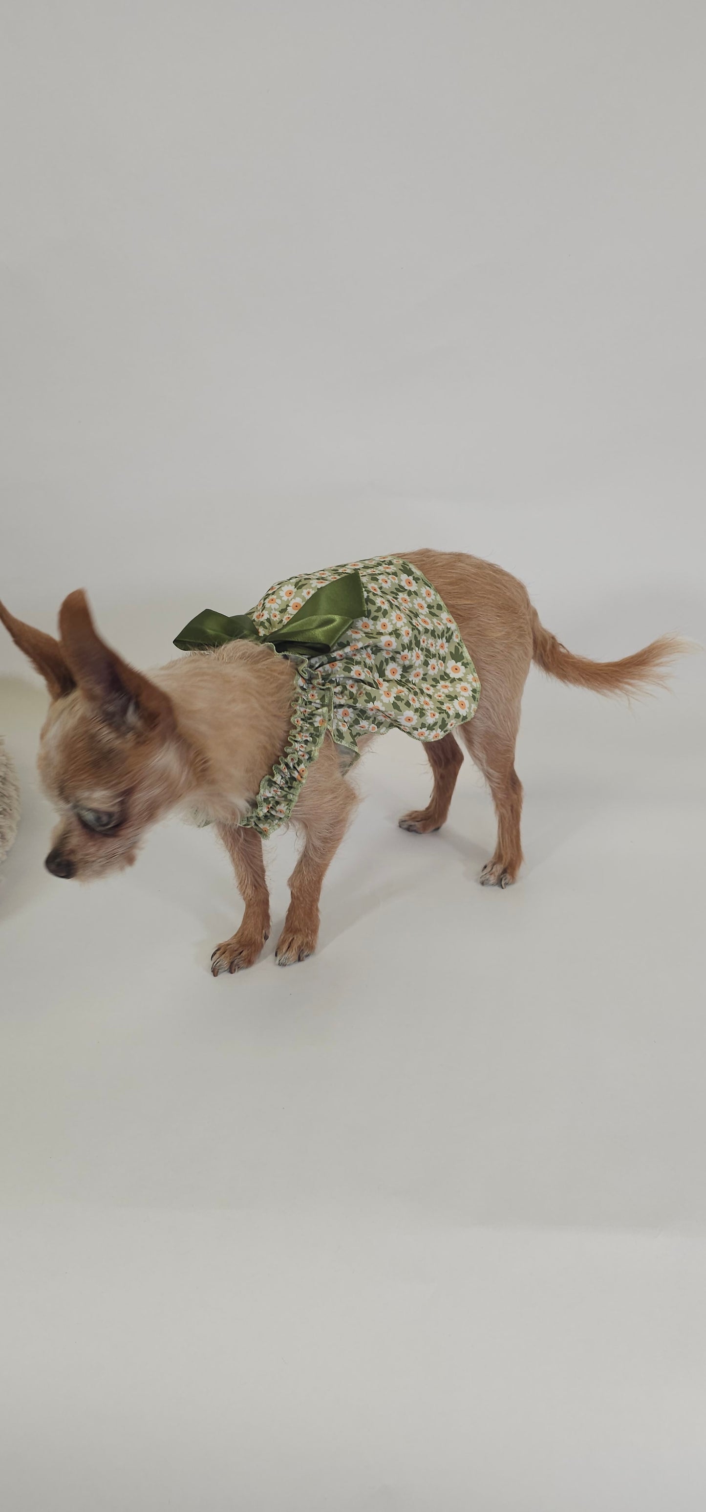 Green Floral Dress