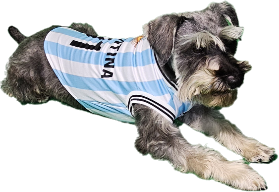 Argentina Jersey