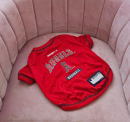 Dog Baseball T-Shirt