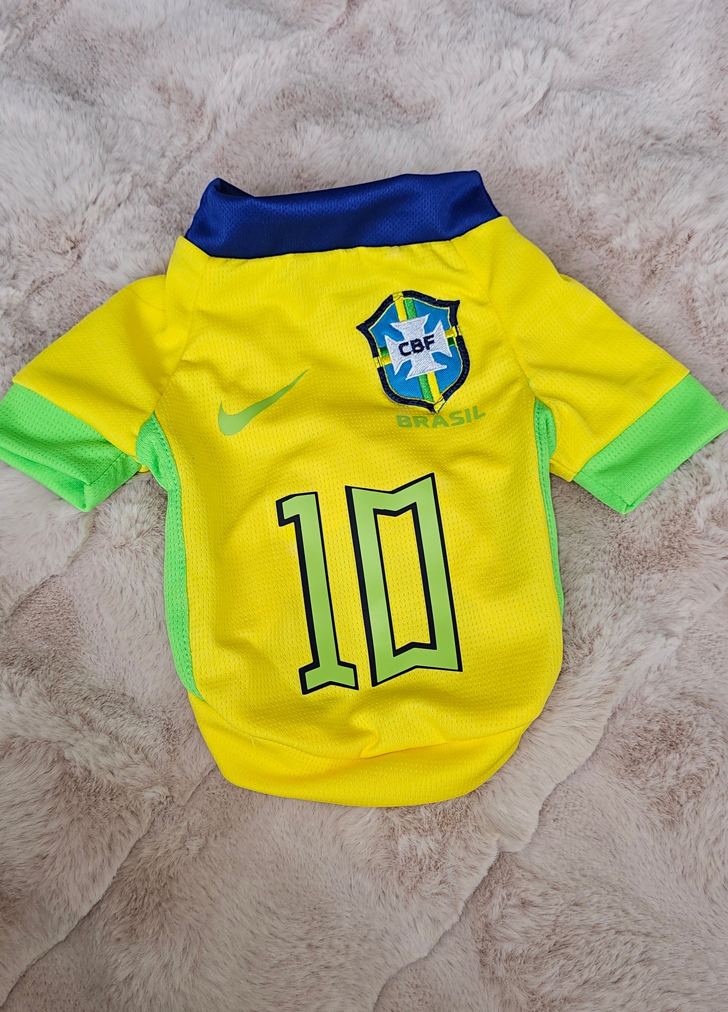 World Cup Jersey