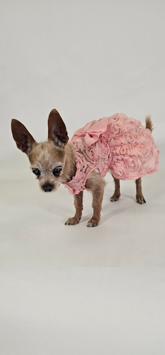 Pink Rose Dress